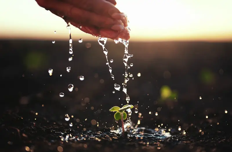 Joseph’s Well Creator